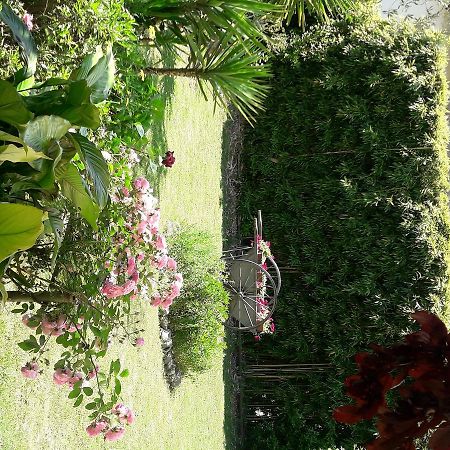 Aliso' Apartment Sarzana Luaran gambar