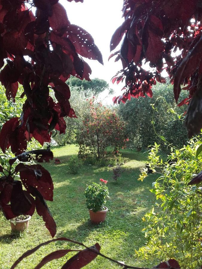 Aliso' Apartment Sarzana Luaran gambar